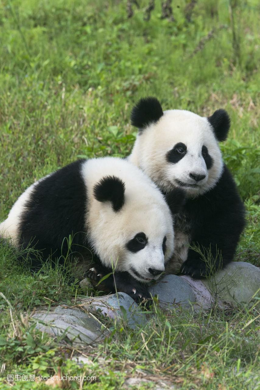 表格图书登记借阅表怎么填_表格图书登记借阅表怎么填写_图书借阅登记表表格