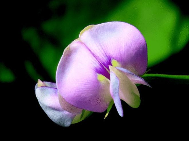 操作权限设置_您需要权限来执行此操作 桌面_操作权限管理