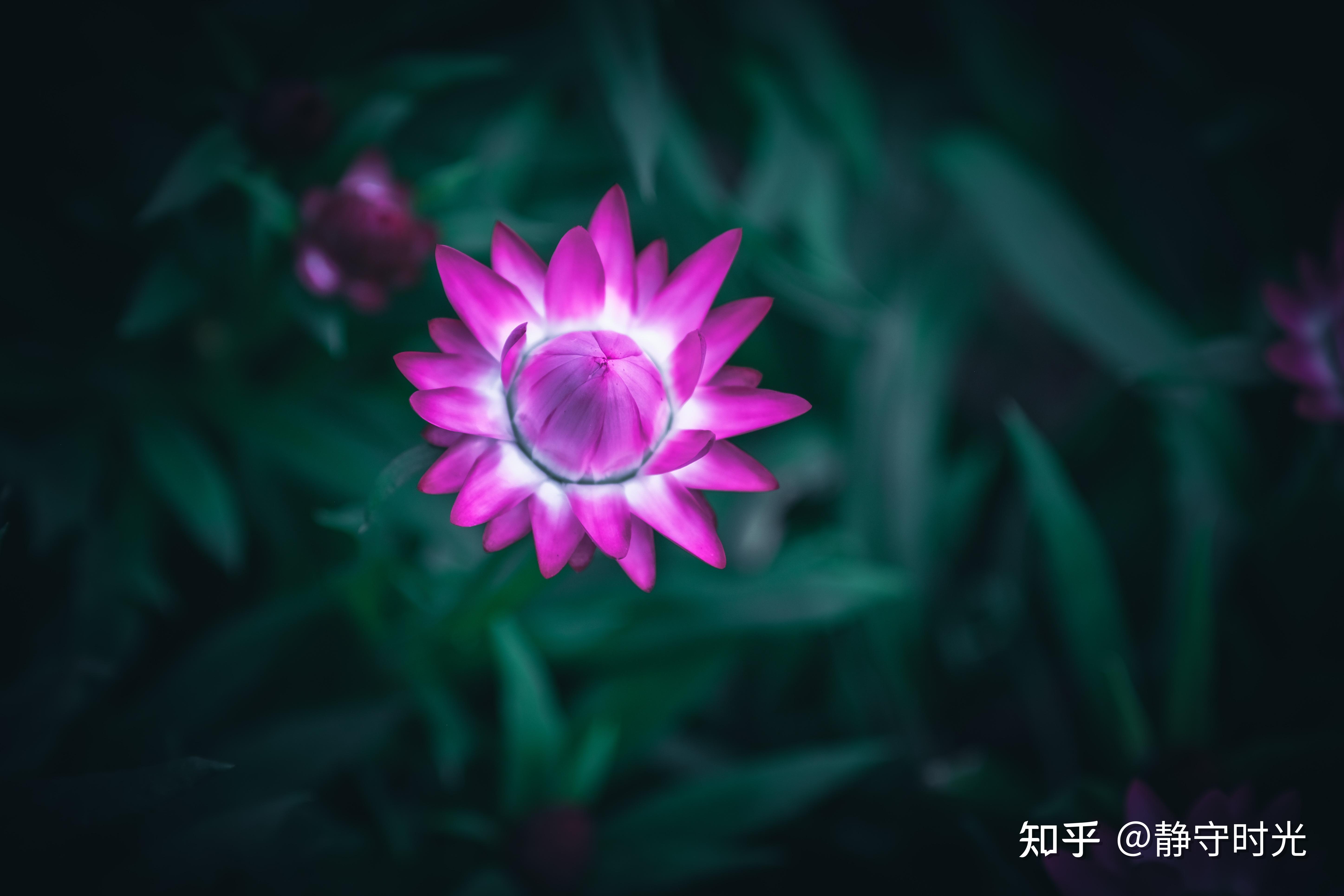 操作权限设置_操作权限管理_您需要权限来执行此操作 桌面