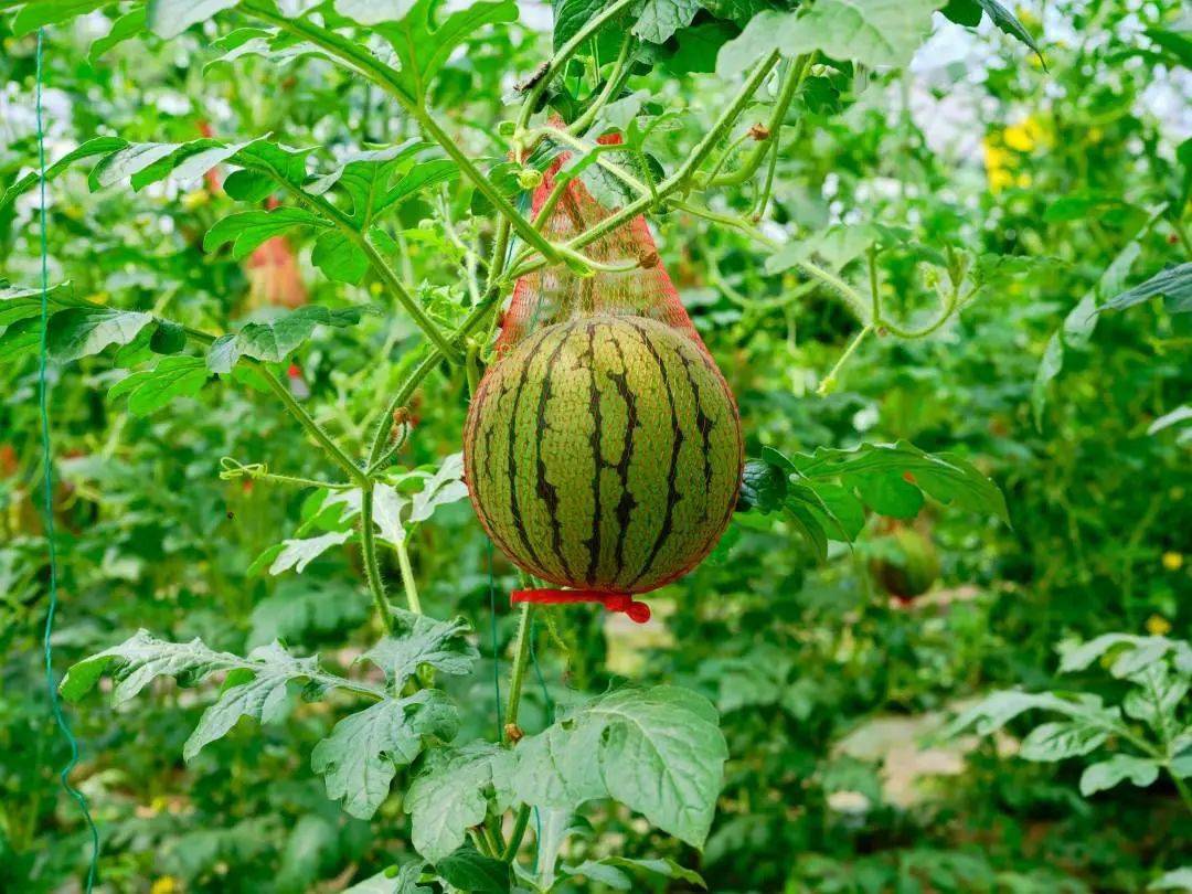 安卓手机省电软件哪个好_安卓手机省电宝_安卓机怎么省电