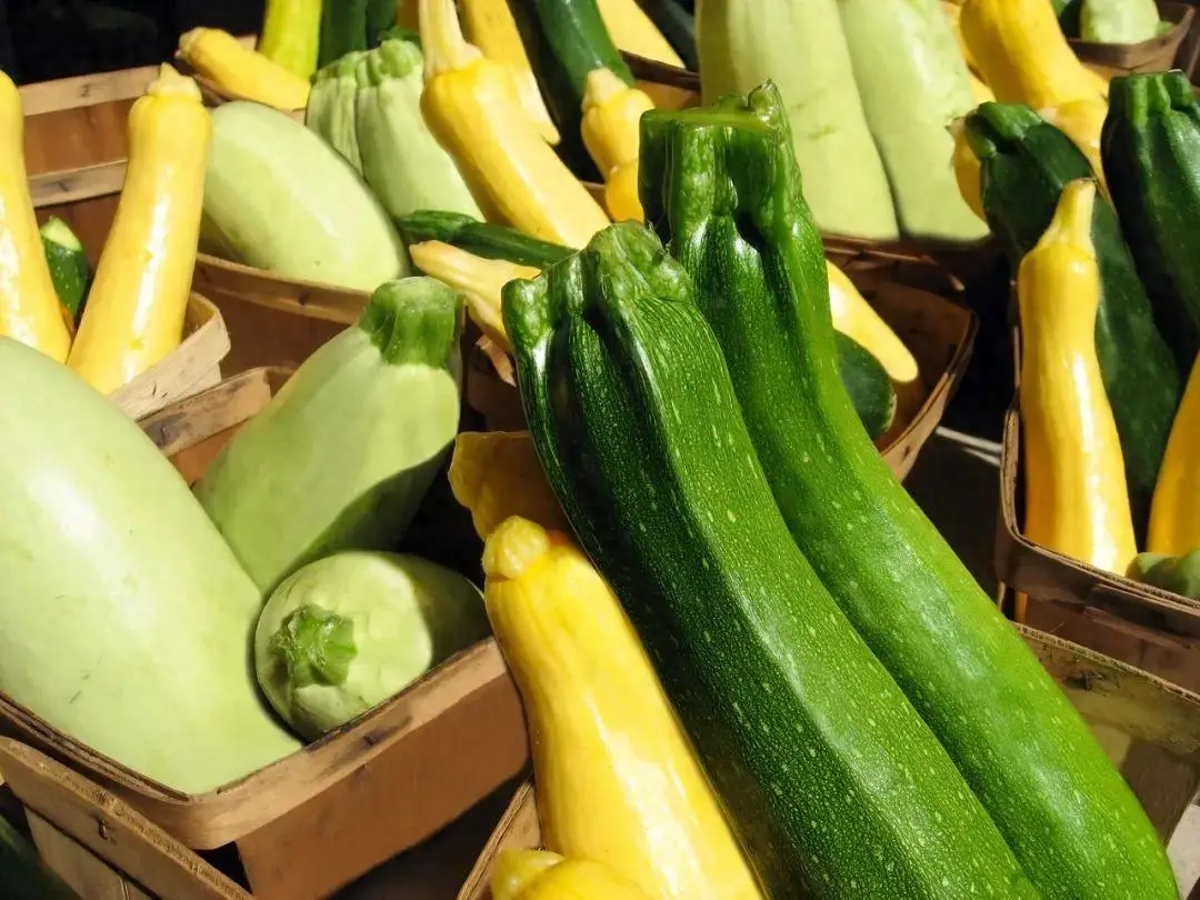 安卓手机省电宝_安卓机怎么省电_安卓手机省电软件哪个好