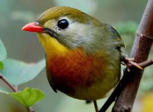 诺得儿系统_诺得儿系统_诺得儿系统