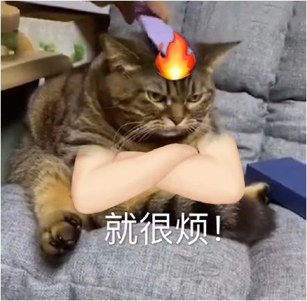 win10 rthdcpl_win10 rthdcpl_win10 rthdcpl