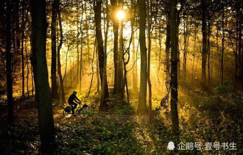 win10 rthdcpl_win10 rthdcpl_win10 rthdcpl