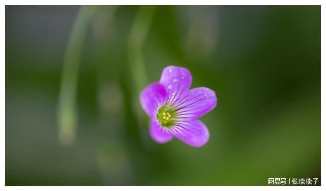 话务员怎么做_话务员做啥的_话务员做什么工作