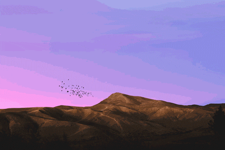 话务员做啥的_话务员怎么做_话务员做什么工作