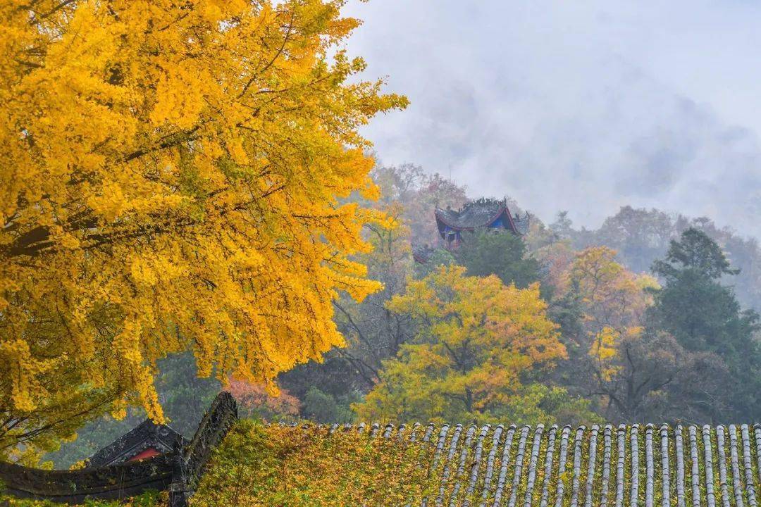 我家门前的自然课_我家门前的自然课_我家门前的自然课
