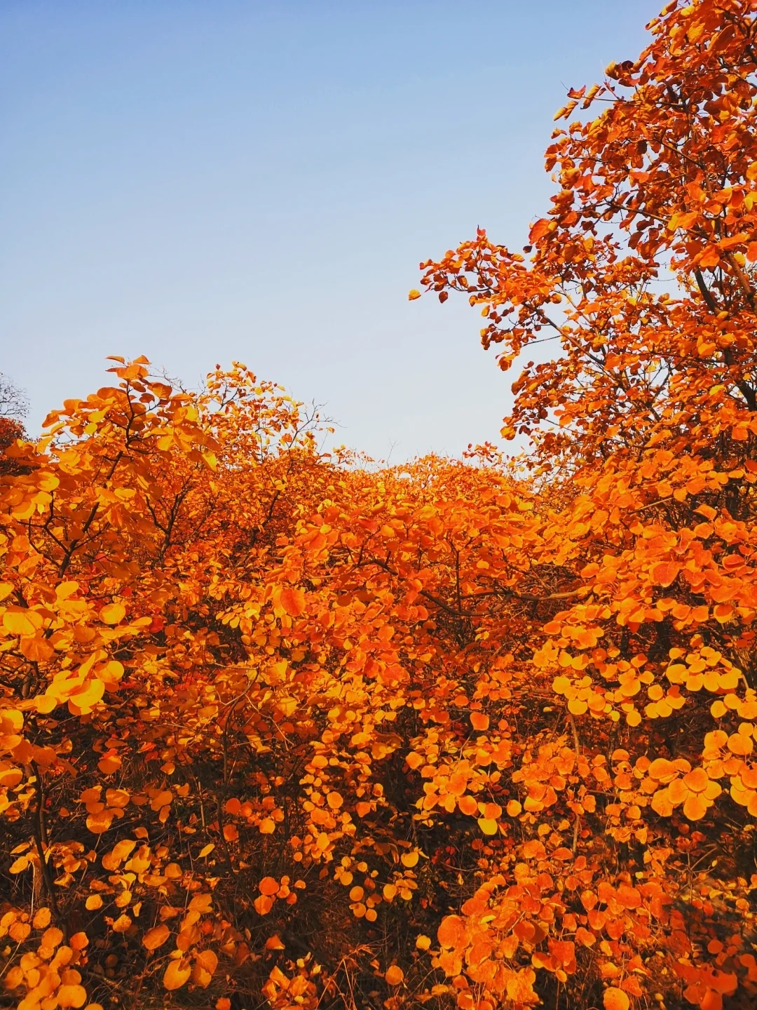 我家门前的自然课_我家门前的自然课_我家门前的自然课