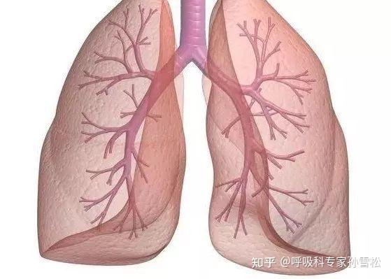 造成呼吸衰竭的主要原因是_呼吸衰竭定义及可能原因_出现呼吸衰竭的原因是