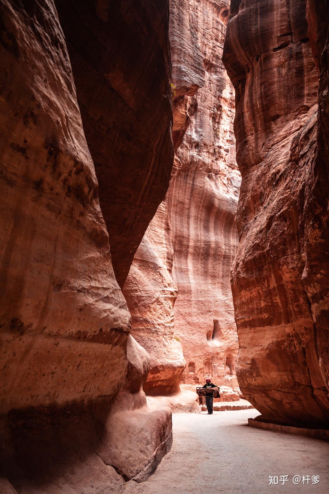 开发手册英文_shopnc二次开发手册_手册开发工程师