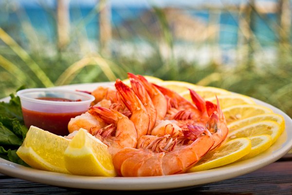 商丘朝阳教育地址电话_商丘朝阳区_商丘朝阳医院怎么样