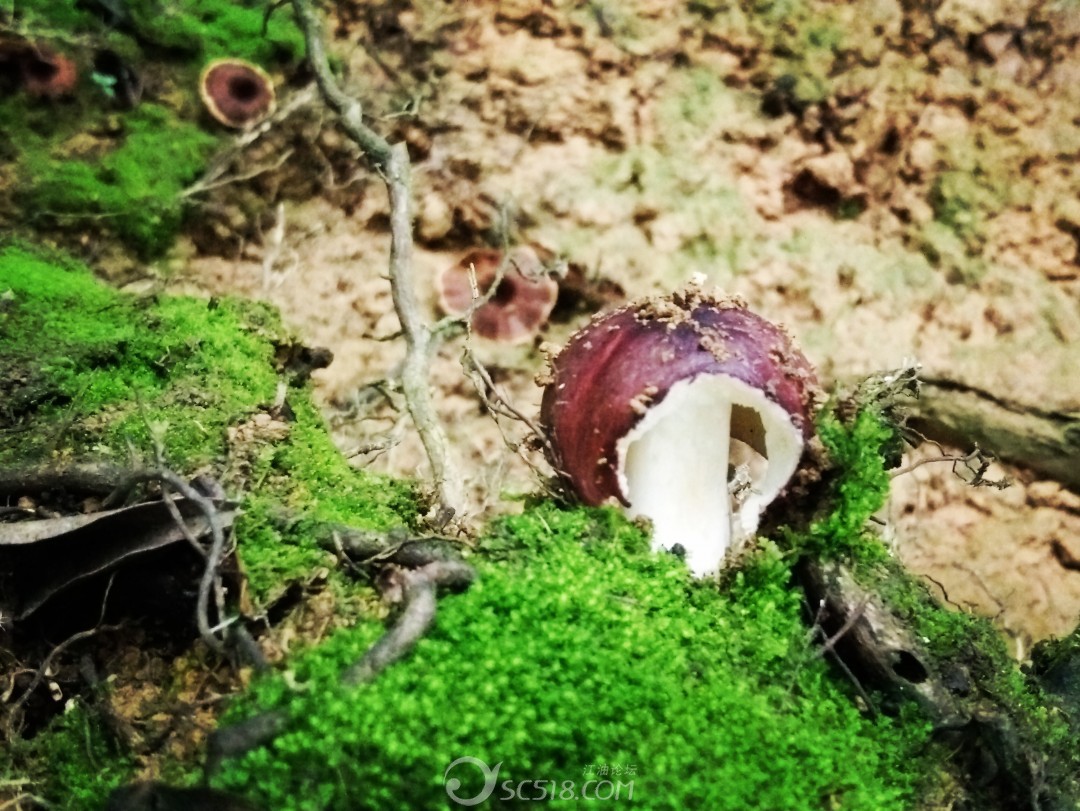 收费岗亭费用_收费站收费亭多少钱_finaldata3.0收费吗