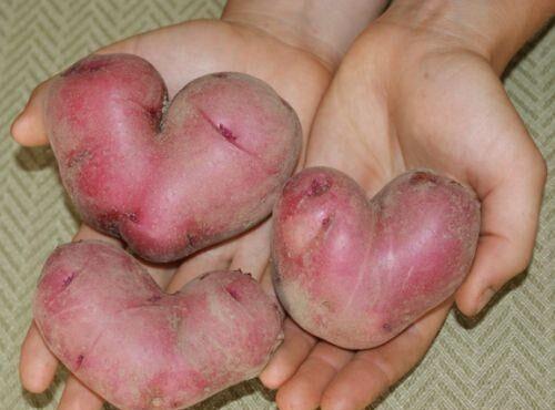 夹文件的别针叫什么_夹文件的叫什么_android文件夹