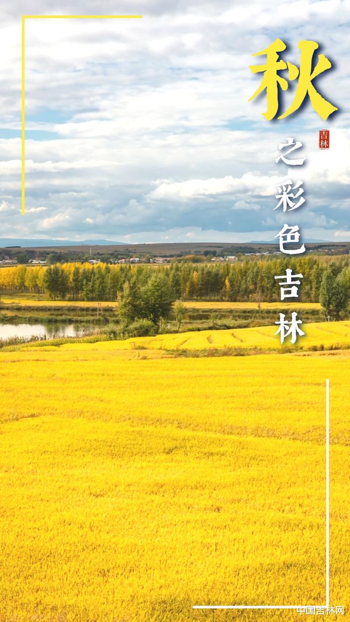 日本ecosystem-日本四季如画的生态系统：大自然的宝库与和谐之美