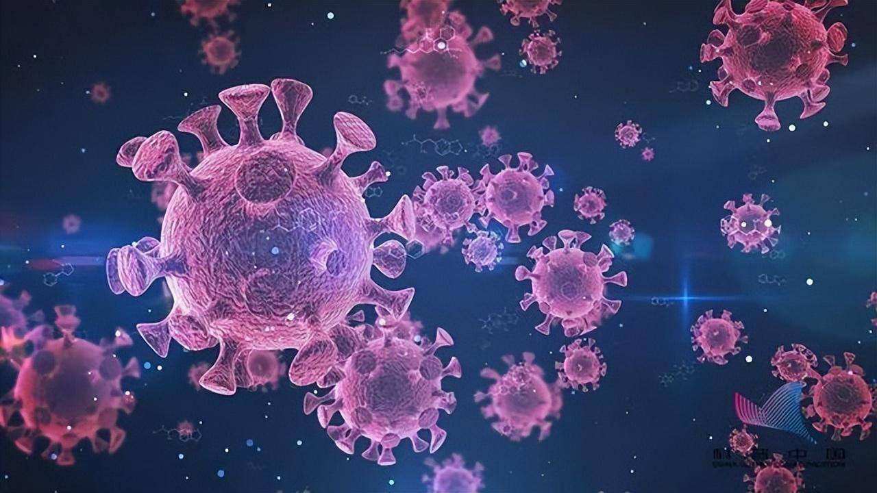 内存可以安装病毒_内存有病毒_病毒内存安装可以删除吗