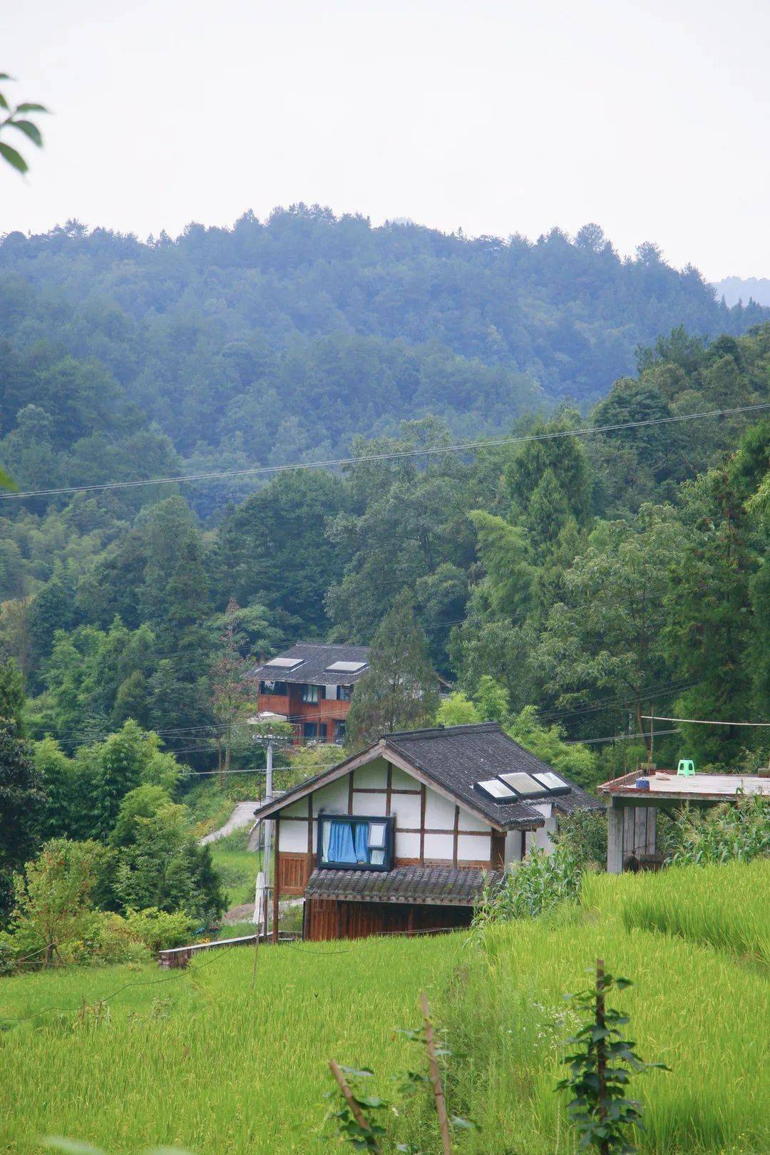楼街朝鲜族乡_朝鲜族民俗村_朝鲜民俗风情街
