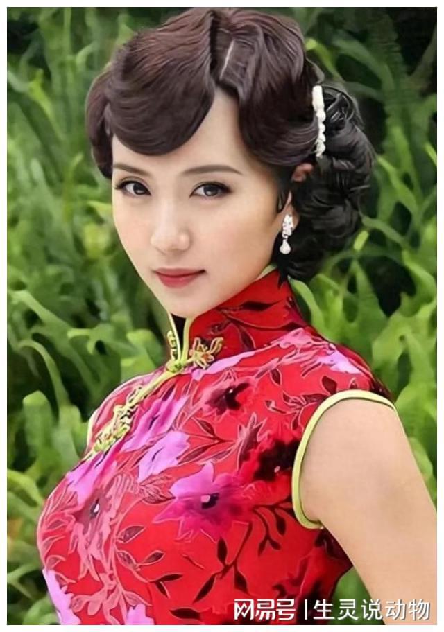 苹果电脑安装win8_苹果电脑安装win8.1系统_苹果电脑安装win8