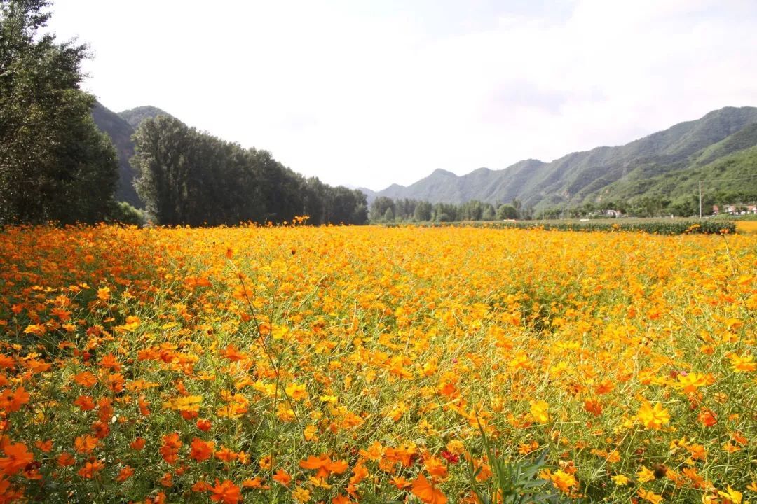 朝阳镇县医院：小镇医院的温暖与人情味，不仅仅是治疗身体