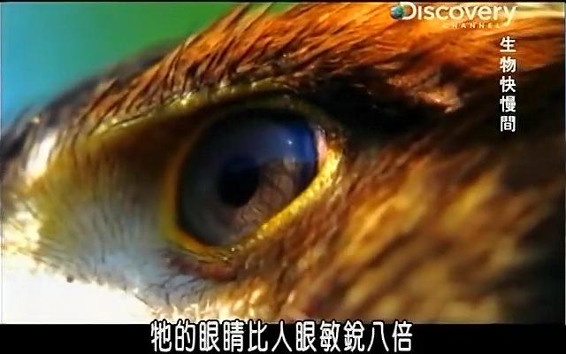 影像测量仪工作原理-影像测量仪：千里眼的神奇魔力，瞬间捕捉细微之处的秘密