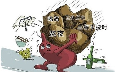 健康之路胃病_健康之路揭开胃病真相上_健康之路胃病如何调理