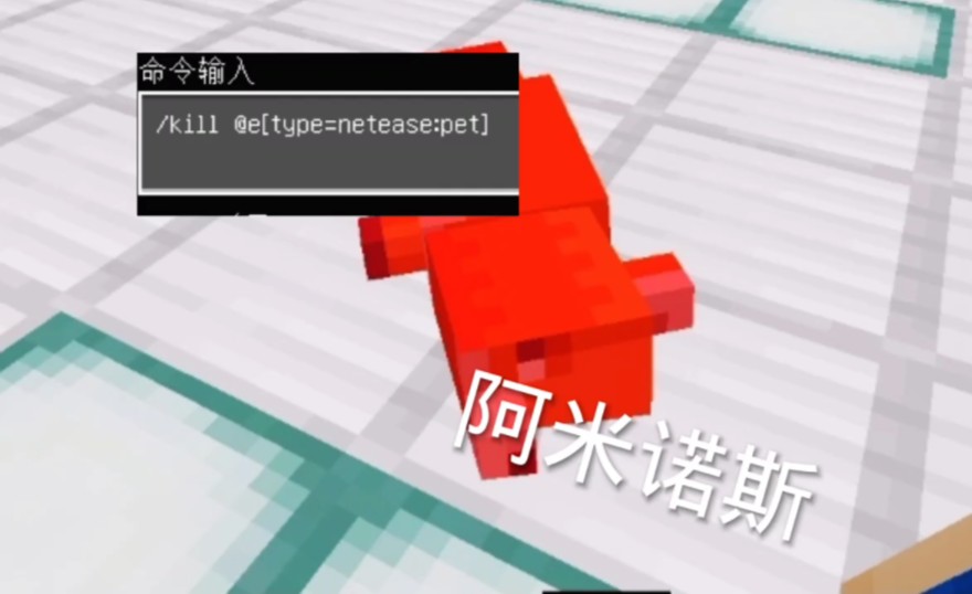 坐标指令大全_我的世界设置坐标指令_开启坐标显示指令