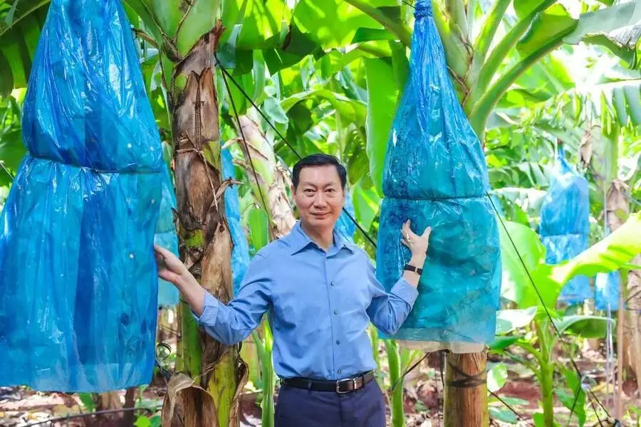 sreng2下载-如何安全快速地下载 Sreng2？快来看看我的经历