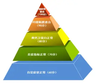 小肠克罗恩病治疗方法_小肠克罗恩病.ppt_小肠克罗恩病食谱大全