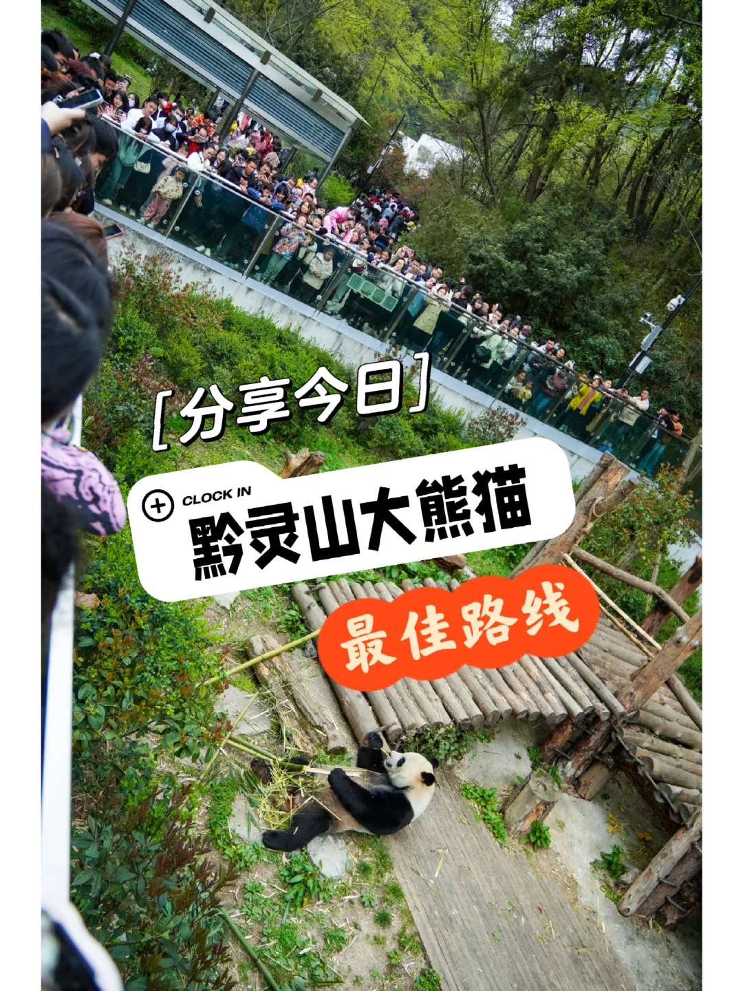 下载安装软件的app_linux怎么下载安装软件_下载安装软件的正确操作是什么