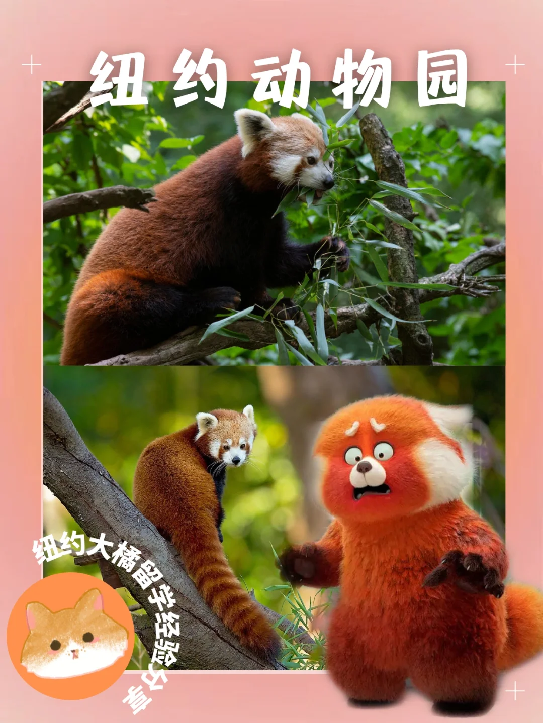 linux怎么下载安装软件_下载安装软件的正确操作是什么_下载安装软件的app