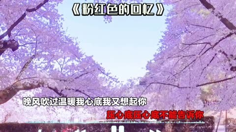 in memory-泛黄日记本中的青春痕迹，那些美好时光永远珍藏