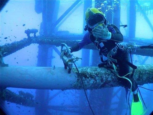 验证码接收平台_jsp 验证码_验证码已发送却收不到