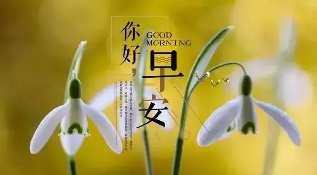 头疼图片带字难受_头疼图片带字图片大全_图片头疼表情图片带字