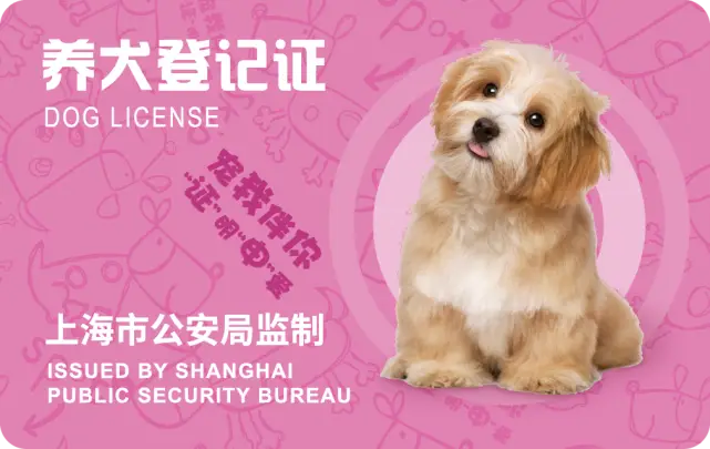 法律规定的有效身份证明有哪些_有效身份证明法律依据_法律规定证明身份的有效证件