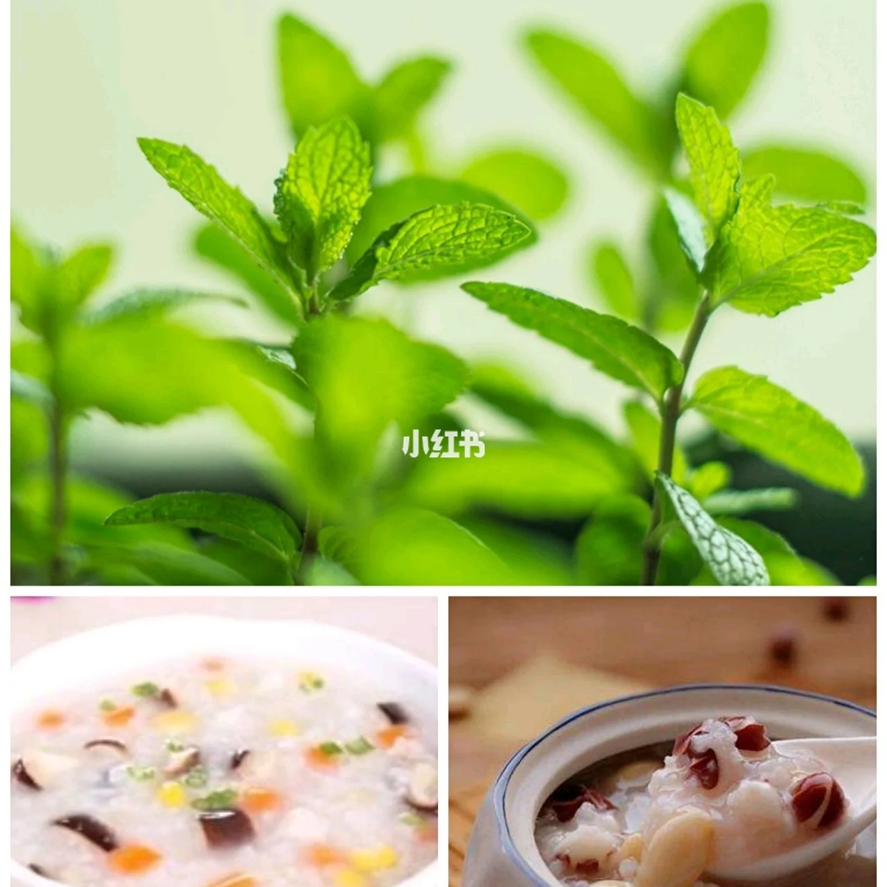 感冒后一直咳嗽怎么办_感冒后咳嗽要几天才能好_感冒后咳嗽用吃药吗
