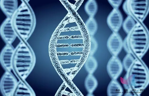 病毒是细胞吗_病毒是原核生物吗_desktop是病毒