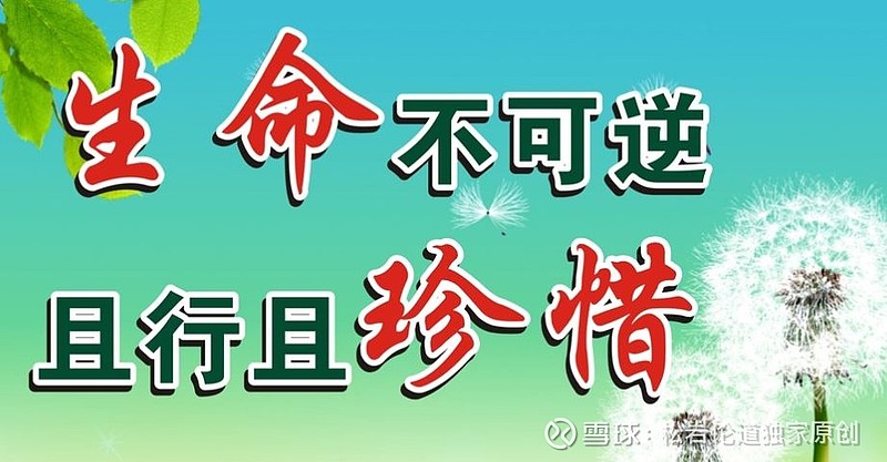 破解版游戏_破解版游戏无限内购破解版_ecognition破解版