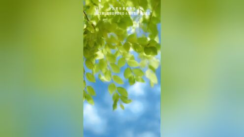 朝阳二医院美容科_朝阳二院美容科哪个大夫好_朝阳二院美容科价格表