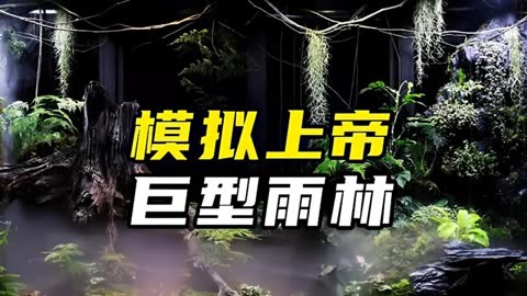 雨林木风winxp安装教程_雨林风xp系统下载_雨林木风xp系统安装步骤