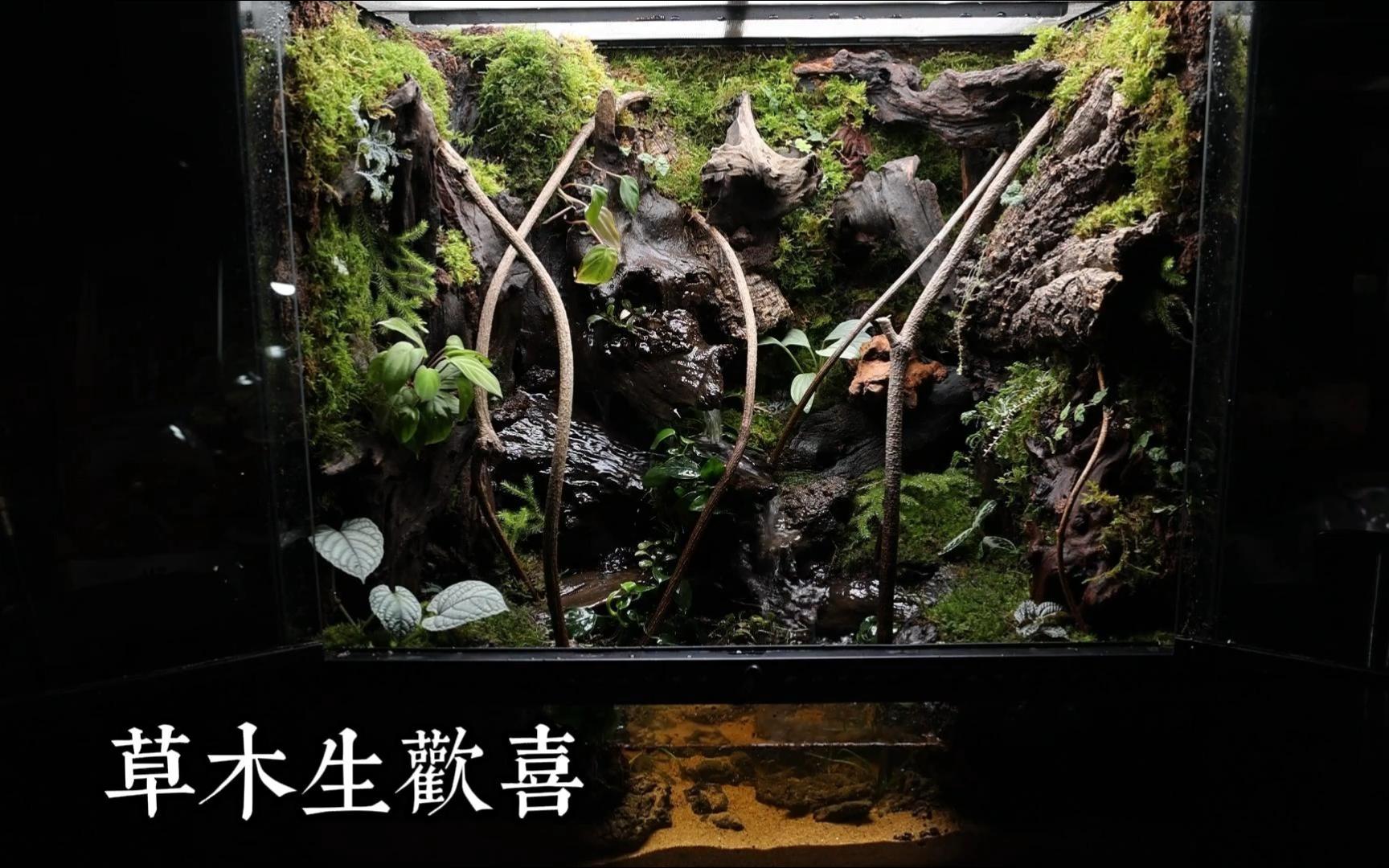 雨林木风xp系统安装步骤_雨林风xp系统下载_雨林木风winxp安装教程