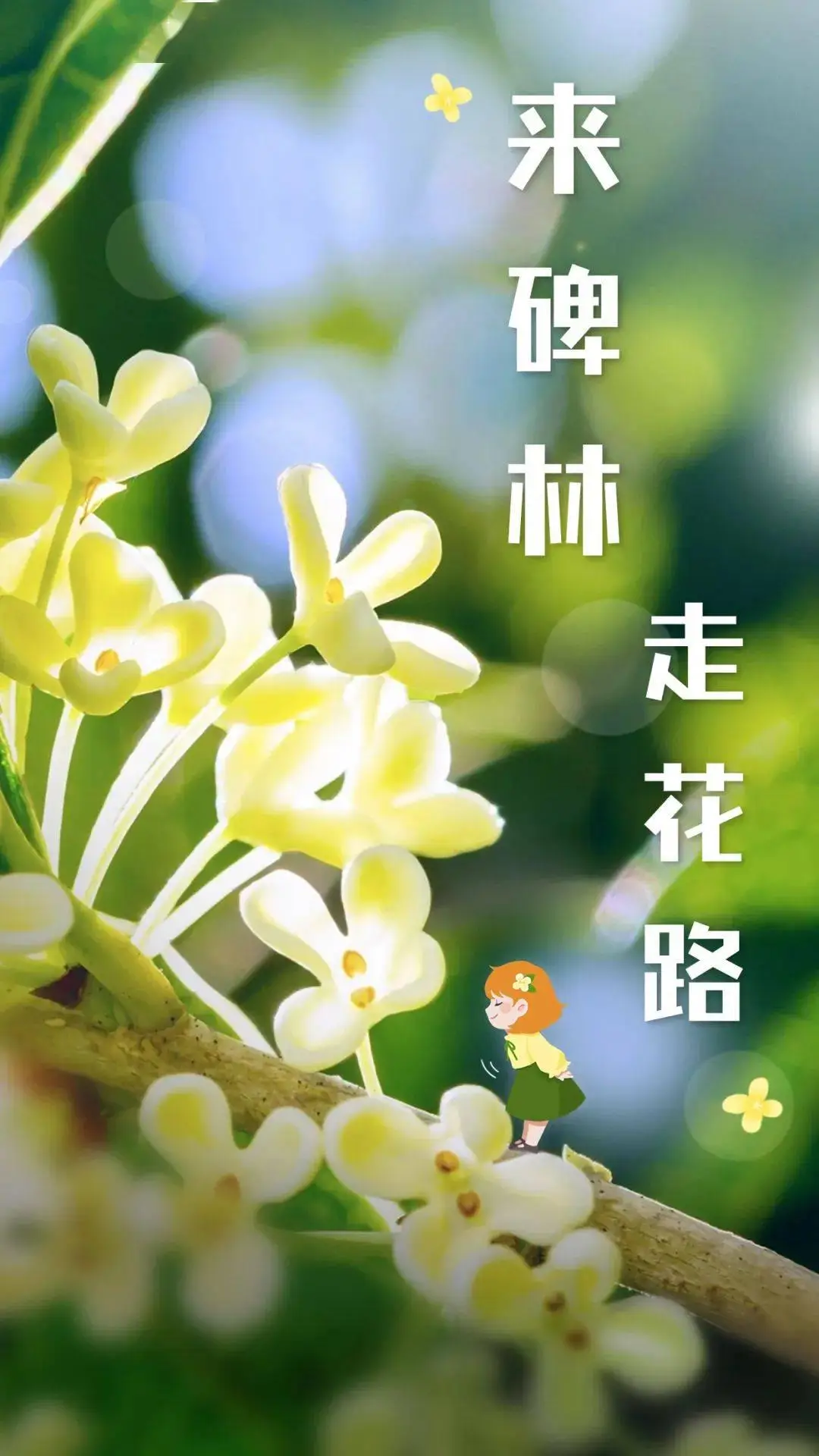 诺德尔win2024_诺德尔柴暖故障码_诺德尔官网