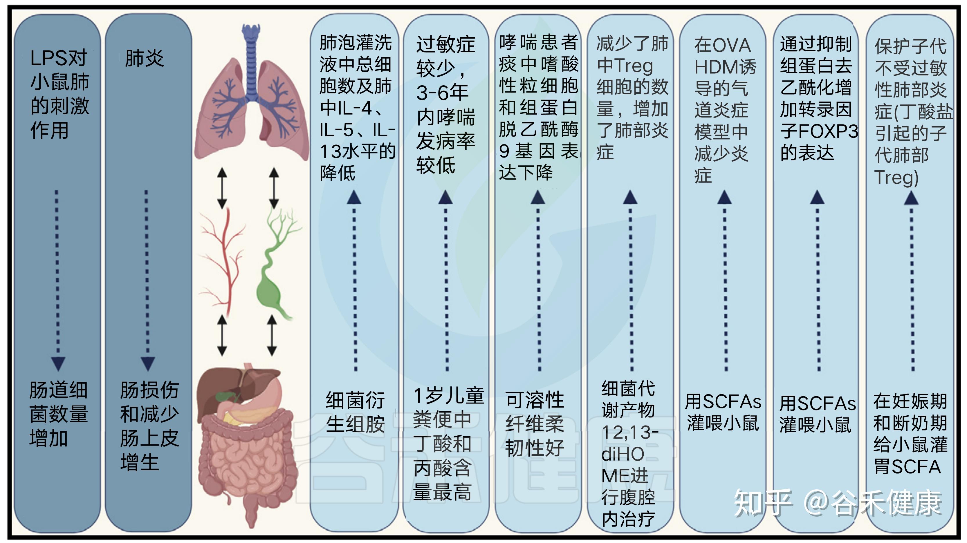 哮喘明星_哮喘病的明星_哪些明星有哮喘