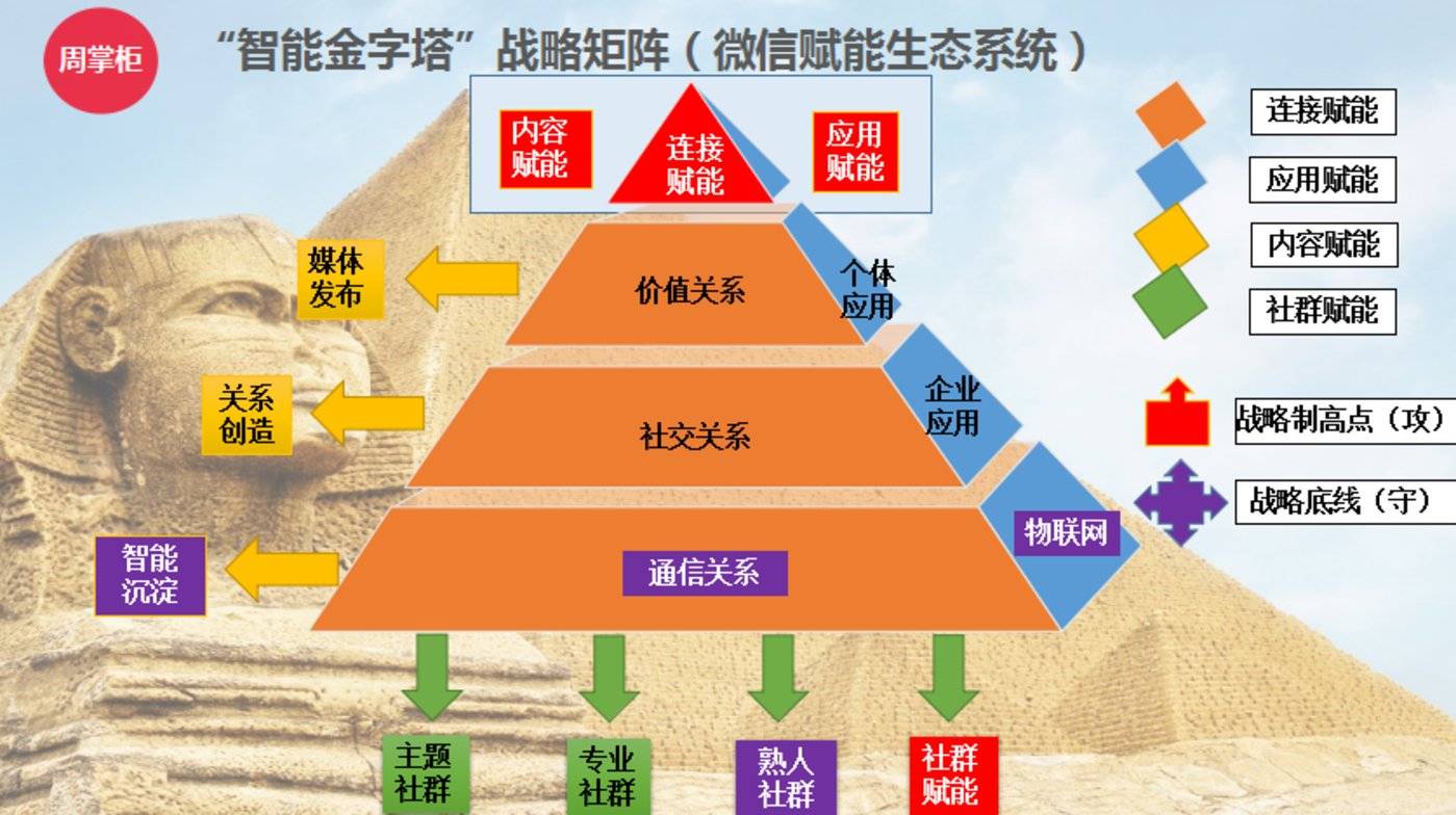 ecosystem造句-生态系统：自然的交响乐，生命的奇迹与温暖