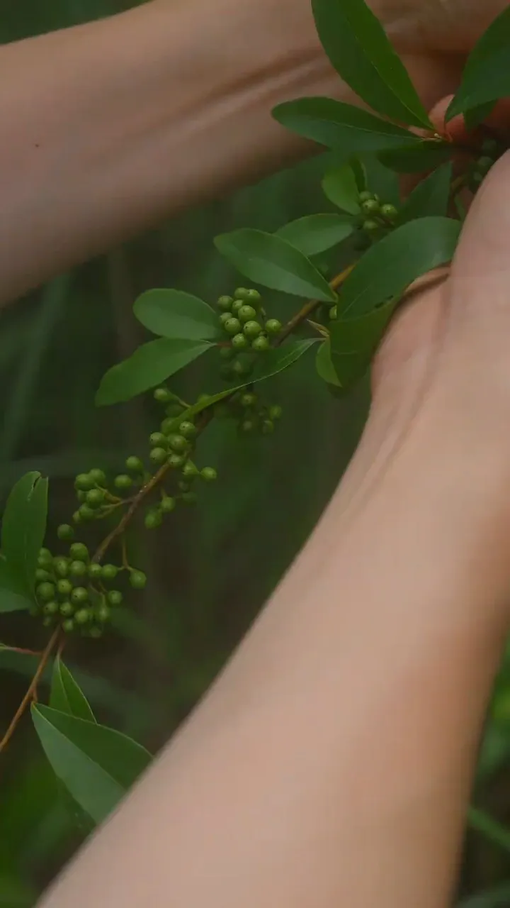 智慧云管家_智慧管家app_智慧云管家下载