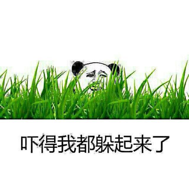 省电专家最新版下载_省电专家王_省电专家真的能省电吗