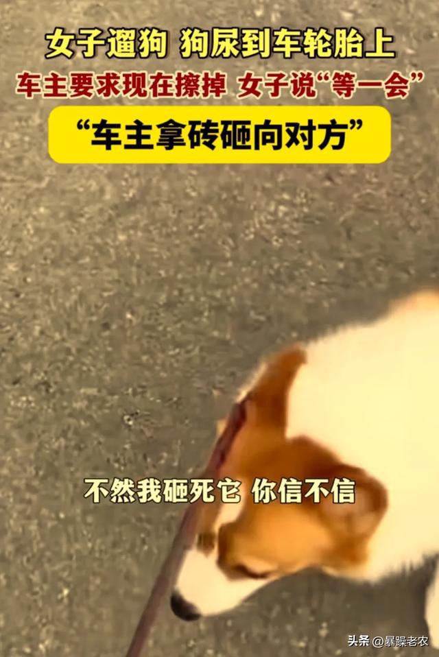兔大师数据恢复_手机恢复大师免_免root恢复