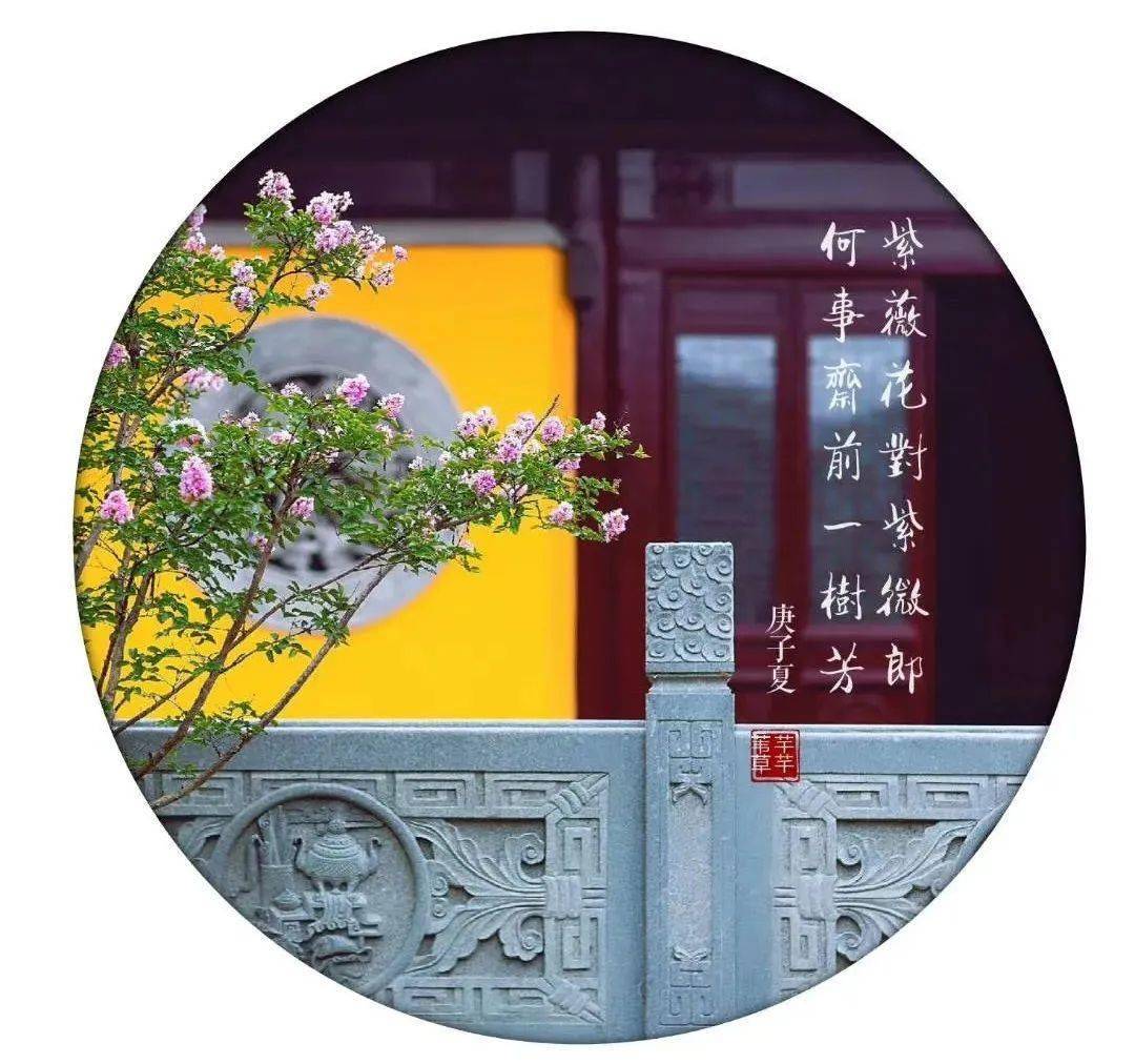 泰州乔园导览图_泰州乔园饭店_泰州乔园 宾馆