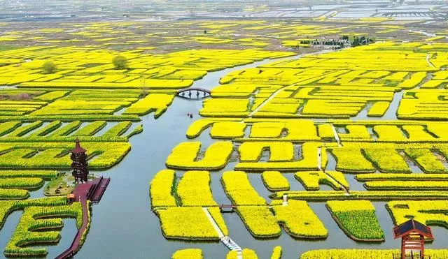 泰州乔园 宾馆_泰州乔园饭店_泰州乔园导览图