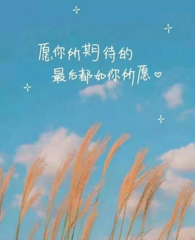 英文account_accel英文_英文acc