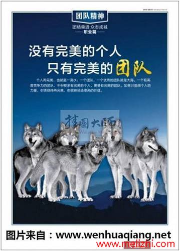 rallies什么意思中文_rallies_rallies