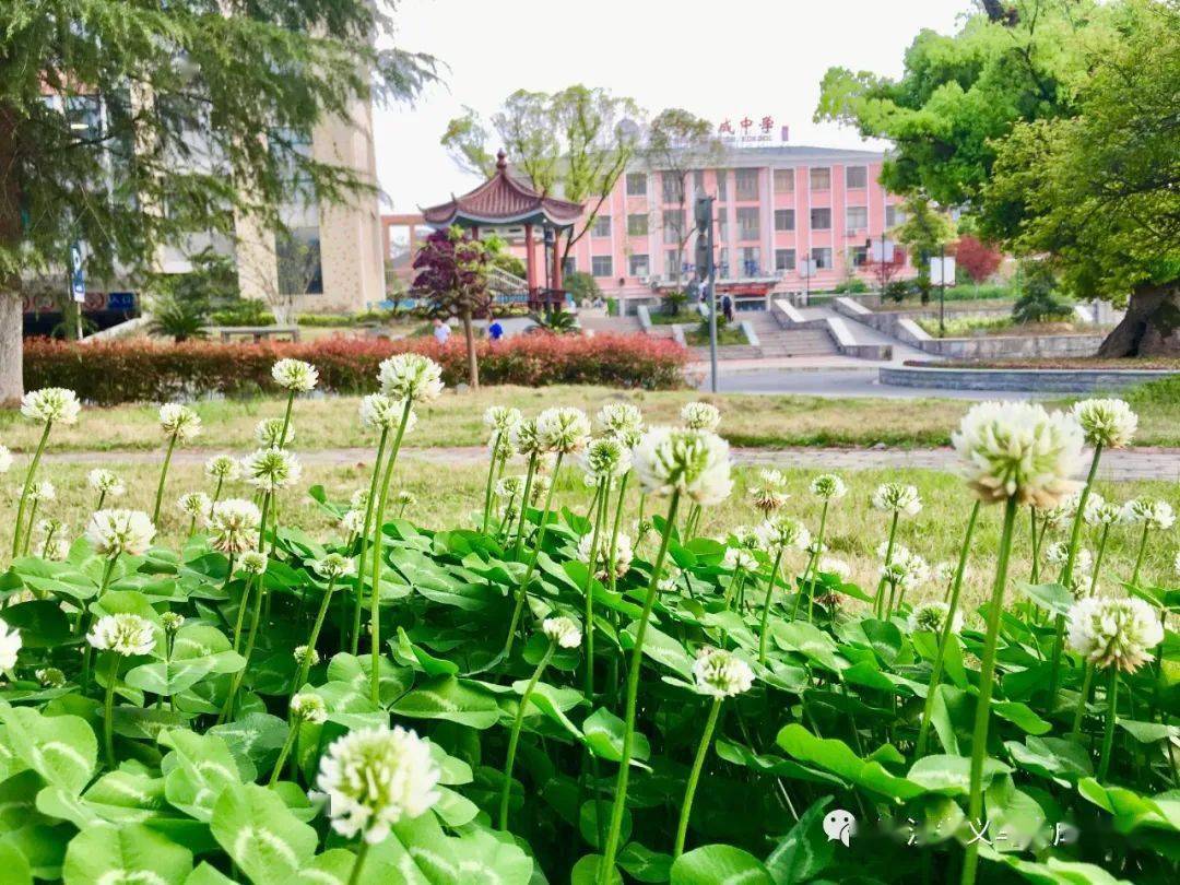 保定成人教育学院_保定学院成人继续教育_保定学院教育网管理系统